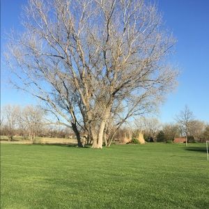 Meet your Posher, Mackenzie